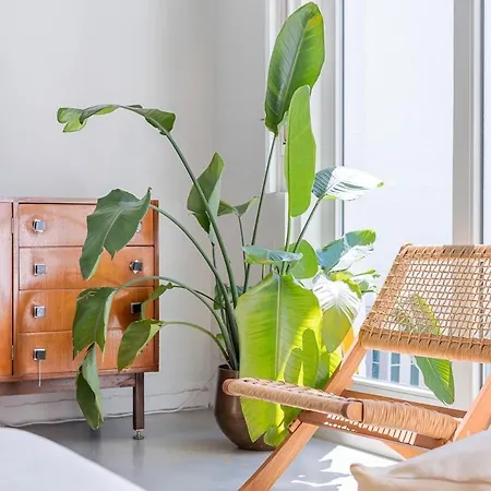 Maison Des Beaux Jours *